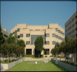 rso library from plaza