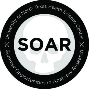 Soar Circle Logo Option 3