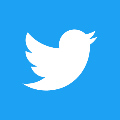 the twitter logo