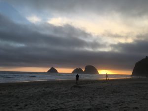 Oregon Coast Beach Scene