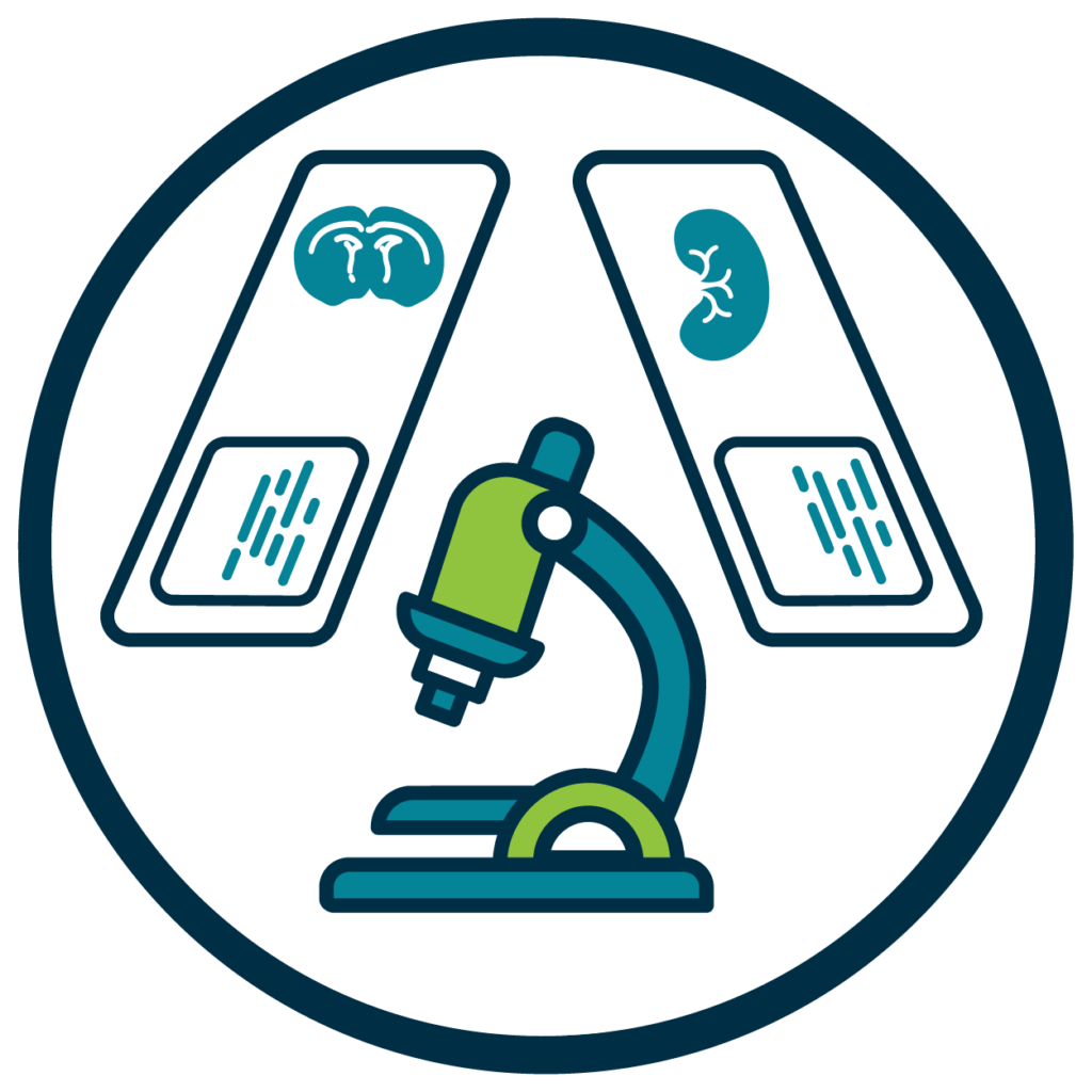 Microscopy and Histology icon