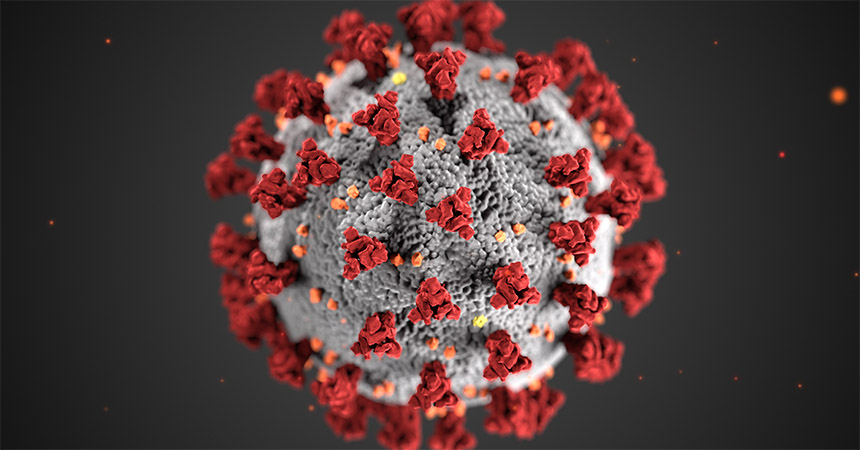Cdc Coronavirus Image Web