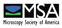 Microscopy Society of America logo