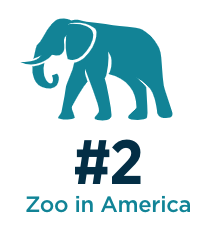 2 Zoo In America