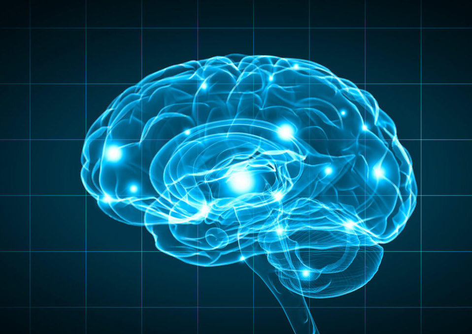 Concept Of Human Intelligence With Human Brain On Blue Background