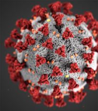 Cdc Coronavirus Image Fc