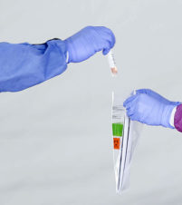 Covid Testing Detail Unt Health Science Center Fc