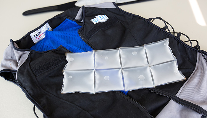 Cooling vest
