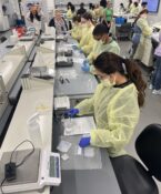 Students work in the lab