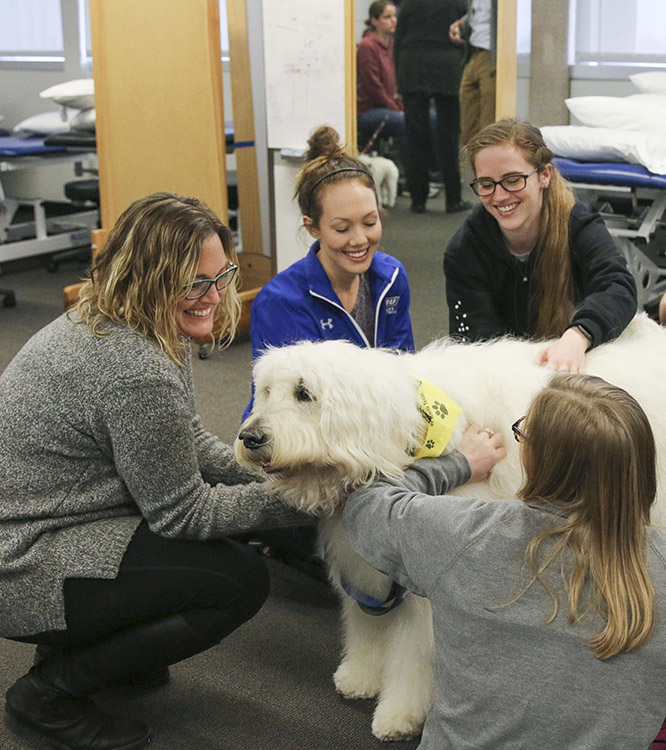 Students learn to use animals to improve patient outcomes - Newsroom