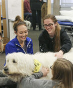 Dr. Claire Peel Animal Assisted Dog Therapy Training.