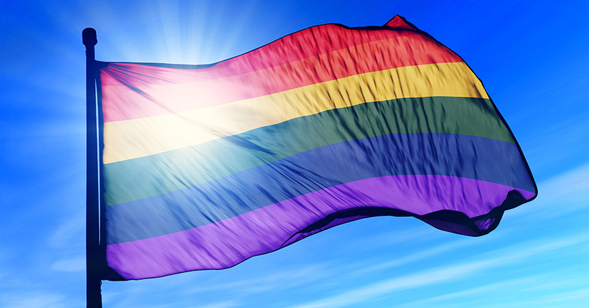 Pride Flag Web