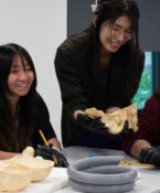 Tabs Students In Anatomy Lab 2023