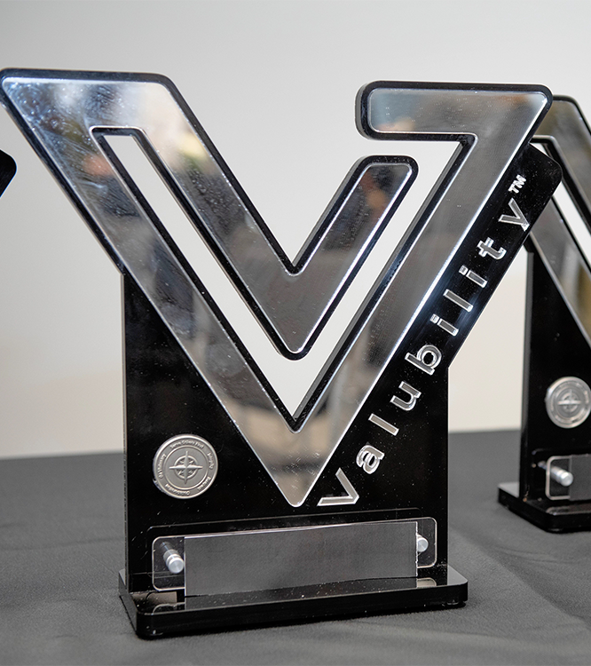 Valubility of the Year Award