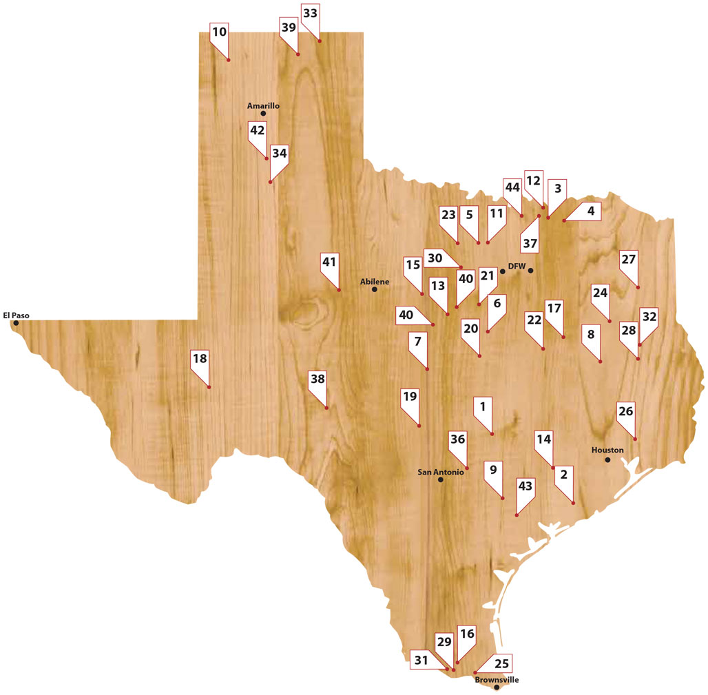 an illustrated map of Texas with flags indicating how many doctors in each county