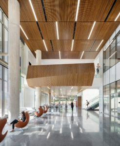 Photo of the inside entrance at the IREB. Shows the daylight views with the wooden panel decoration and chairs to the side.