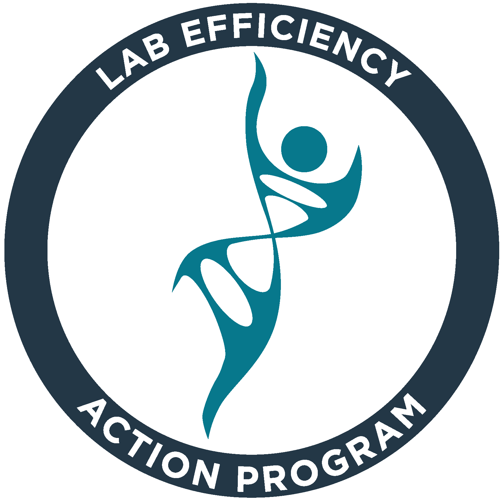 Leap Logo 2021