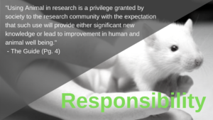 alt="Responsibility Using Animal in research is a privilege granted by society to the research community with the expectation that such use will provide either significant new knowledge or lead to improvement in human and animal well being The Guide Page 4"