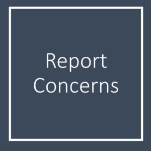 alt="Report Concerns Page"