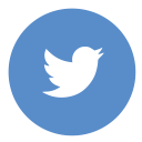 the twitter logo