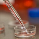 UNT Health Stock 019 (2)